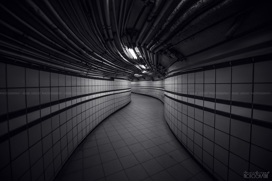 Perspective Metro NYC 2.1