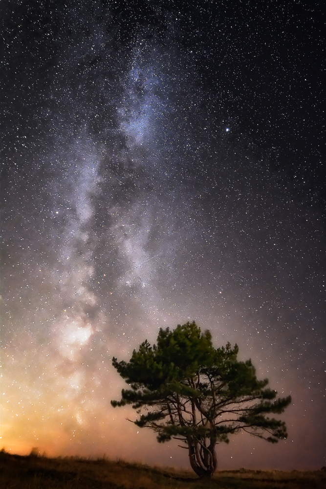 You might have seen this tree a couple of times before, but never before have I managed to extract so much detail from the night sky. In the background on the horizon there's a good deal of light pollution coming from the outskirts of the town of Den Helder in the northwestern Netherlands, although it isn't that visible to the naked eye. Nor is the Milky Way for that matter. When you have a good idea of where our galaxy rises out of the horizon, there's something to work on your composition with. I used 'short' 15 second exposures to pinpoint the exact location of where I wanted the tree and the Milky Way in the picture. The foreground is actually lightpainted by a large lighthouse behind me. While that diminished the contrast in the sky a little, the foreground went from a dark silhouette to a fairly detailed subject in spite of the gale force winds that haunted the plains that night. This image isn't stacked in DeepSkyStacker, but is instead raw converted in DxO Optics Pro 8. The premier noise reduction capabillities within this piece of software are, if you pardon the pun, stellar. 'The Dark Rift' was captured under the stars of Den Helder, the Netherlands, with the D7100 at 14mm. f/2.8 | 25s | ISO6400