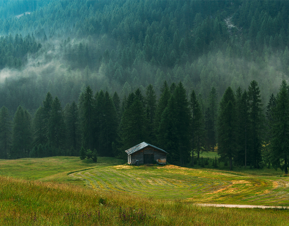 A lonely cottage in the misty and foggy forest just after the storm. Photograph was taken at Corvara in Dolomites mountain range, Italy
