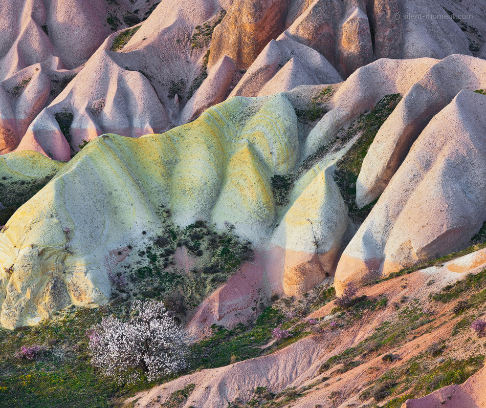 Tuffstein Erosion im Rosental nahe Göreme, Kappadokien, Anatolien, Türkei