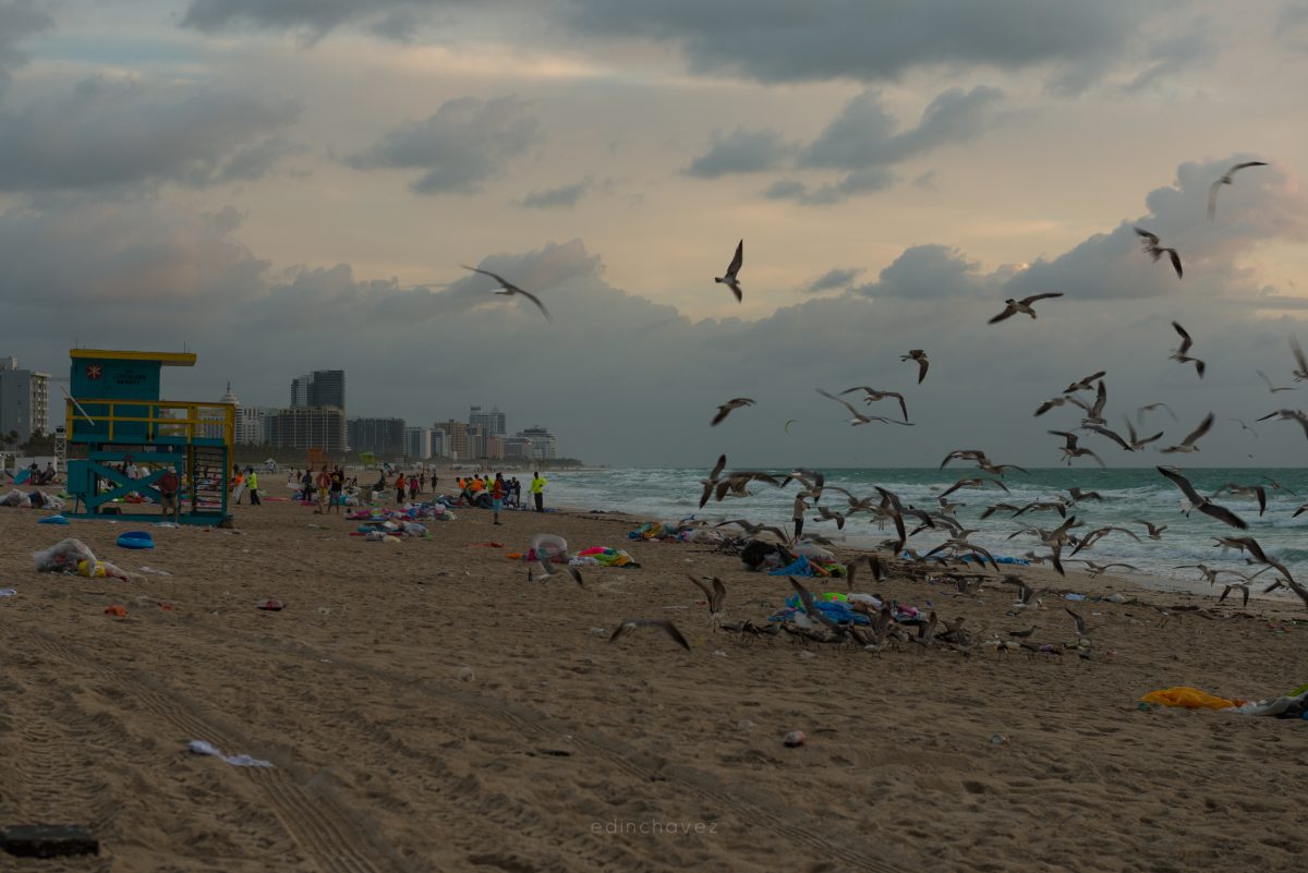 Miami Beach Trash (67 of 238)-8